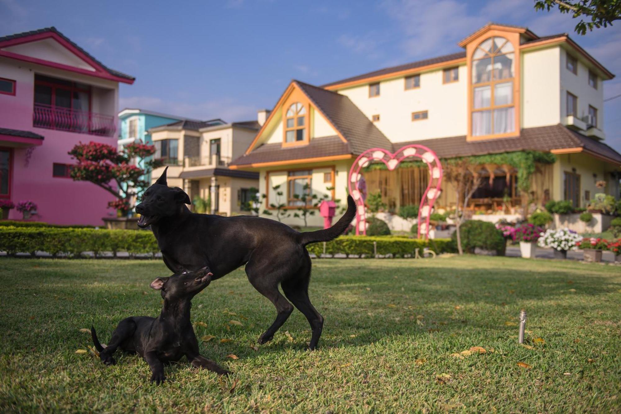 Xinfu Traveler Inn Taiping  Extérieur photo