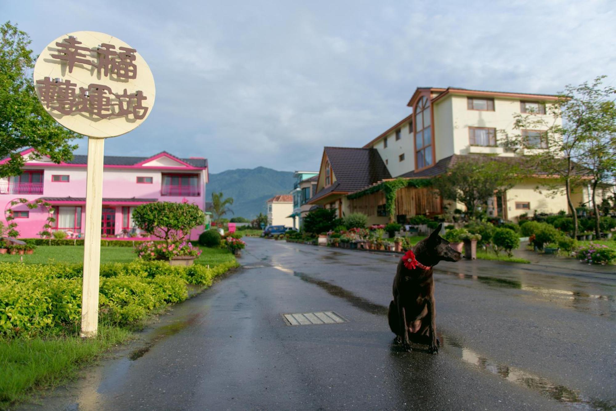 Xinfu Traveler Inn Taiping  Extérieur photo